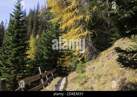 Europa, Österreich, Tirol, Leutasch, Leutasch tal, Gaistal, Ludwig Ganghofer, Spätherbst, Estate Indiana, Traumhaft, Herbst, Weg zum Steinern Hüttl (1925 metri) Foto Stock