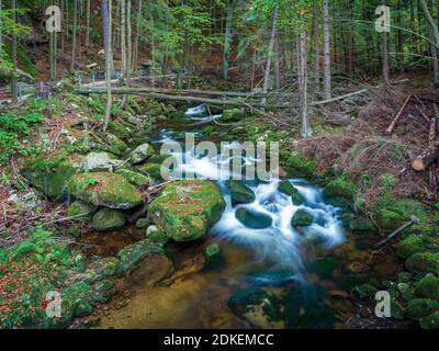 Vista sul fiume Szklarka che scorre accanto al sentiero escursionistico nella montagna Gigante di Karkonosze. Vivido foresta verde con alberi caduti, a lunga esposizione di rischio wa Foto Stock