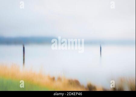 Artphoto, movimento intenzionale della macchina fotografica, paesaggio fluviale, Valle dell'Elba, Germania, Germania del Nord, bassa Sassonia, Elba, banche vicino Artlenburg, umore malinconico, banche nella nebbia Foto Stock