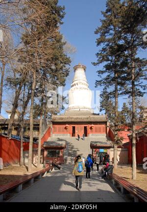 Wutaishan, provincia di Shanxi in Cina. Grande Pagoda Bianca o Dabaita o Sarira Stupa al Tempio di Tayuan. Foto Stock