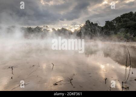 Kuirau Park, Geotermale, Rotorua, Bay of Plenty, Isola del Nord, Nuova Zelanda Foto Stock