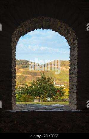 Vista di un vigneto attraverso una finestra della villa romana a Longuich. Foto Stock