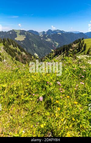 Vista da Wallberg alle Alpi, nella parte posteriore Rotwand, 1884 m, nella parte posteriore destra Wilder Kaiser, 2344 m, Rottach-Egern, Tegernsee, Alpi bavaresi, Baviera, Germania, Europa Foto Stock