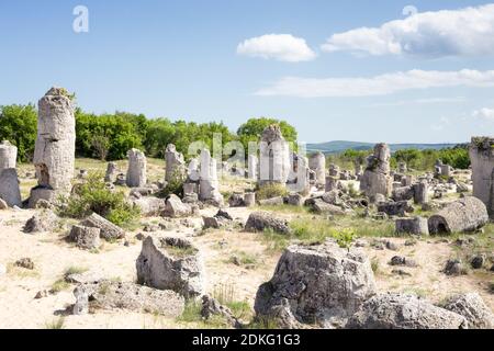 Panorama di Pobiti Kamani (Pietre permanente, la Foresta di Pietra) naturale unico fenomeno Rock, Varna, Bulgaria Foto Stock