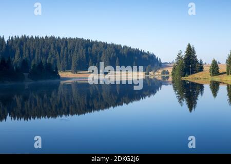 Specchio blu come la superficie del lago della foresta, pineta e il suo riflesso in acqua contro un cielo blu senza nuvole nel sole della mattina presto nel Rhodope Foto Stock