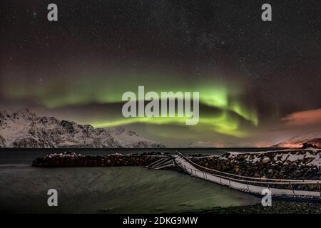 Northern lights on the wintry Lyngenfjord with snow-capped mountains in the background Stock Photo