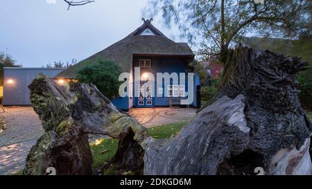 Germania, Meclemburgo-Pomerania occidentale, penisola di Fischland-Darß-Zingst, Ahrenshoop, Kunstkaten Foto Stock