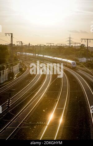 Essen, zona della Ruhr, Renania Settentrionale-Vestfalia, Germania - binari del treno nella retroilluminazione del sole serale, IL treno DI GHIACCIO guida verso la stazione principale. Foto Stock