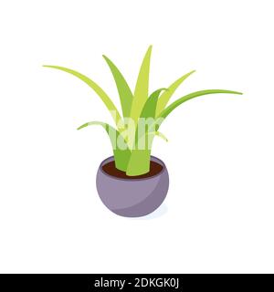 Cactus verde in pentola isometrica - pianta domestica in vaso per decorazione d'interni. Illustrazione Vettoriale