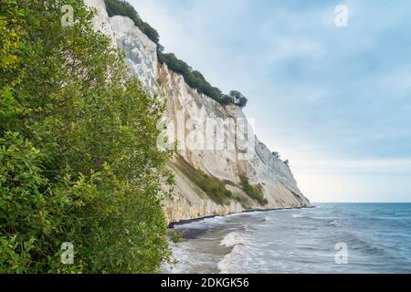 Danimarca, Møns Klint, costa ripida, scogliere di gesso, spiaggia bagnata dal vento orientale Foto Stock