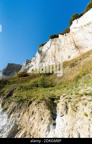 Scogliere di gesso 'øns Klint', Danimarca, Mar Baltico, costa ripida Foto Stock