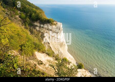 Danimarca, Møns Klint, costa ripida, scogliere di gesso, vista sul calmo Mar Baltico, luce del mattino Foto Stock