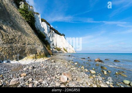 Danimarca, Møns Klint, costa ripida, scogliere di gesso Foto Stock