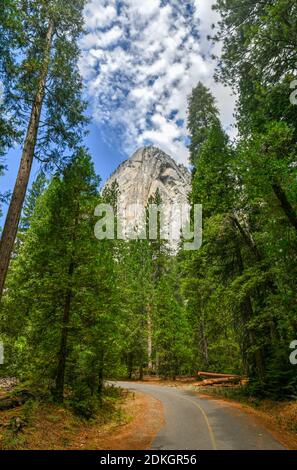 El Capitan torreggendo sopra il fondo della valle nel Parco Nazionale di Yosemite, California, Stati Uniti Foto Stock