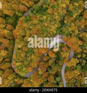 Autunno dall'alto con un droneshot di una doppia curva in una foresta colorata e automobili alla guida, bella caduta, positivo emotivo natura foto Foto Stock
