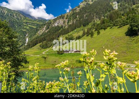 Vista di Wiesbachhorn dal punto di vista di Großes Wiesbachhorn, cascata Walcher con Schleierfall, strada alpina Großglockner, Parco Nazionale Hohe Tauern, Stato di Salisburgo, Carinzia, Austria, Europa Foto Stock