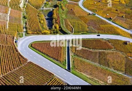 Tornante di una strada di campagna nei vigneti nei pressi di Leytron, Vallese, Svizzera Foto Stock