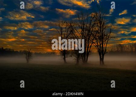 Nebbia di mattina presto su un prato, bellissimo cielo di alba colorata (M) Foto Stock