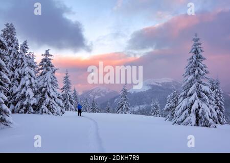 Incredibile alba. Inverno. Paesaggio naturale con cielo bellissimo. Alta montagna. Sfondo nevoso. Soggiorni turistici sul prato coperto di neve c'è un Foto Stock