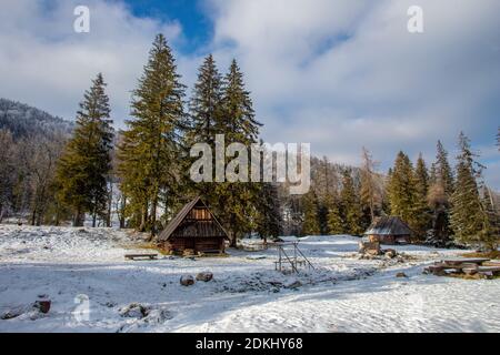 Parco Nazionale di Tatra con tipica casa popolare polacca. Giornata di sole vicino alla città di Zakopane - stazione sciistica, e vicino alla funivia su Kasprowy Wierch Foto Stock