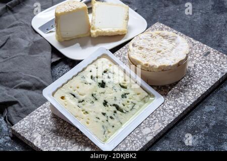 Collezione di formaggi, formaggi francesi a base di capra, mucca e pecora melk: Formaggio blu Roquefort semi-duro, Chabichou morbido del Poitou e Camembert di norma Foto Stock