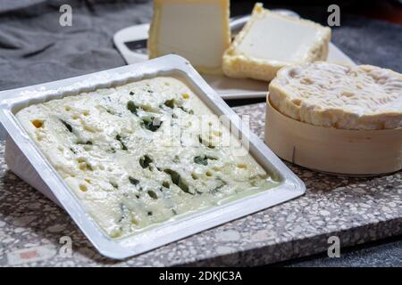 Collezione di formaggi, formaggi francesi a base di capra, mucca e pecora melk: Formaggio blu Roquefort semi-duro, Chabichou morbido del Poitou e Camembert di norma Foto Stock