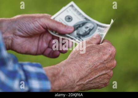 Uomo anziano che detiene banconote in dollari, closeup di mani maschili anziani con centinaia di dollari di bollette Foto Stock