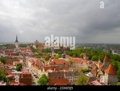 Tallinn in primavera, il paesaggio cittadino di alberi verdi e tetti in terracotta illuminati dal sole, le mura della città e le guglie della chiesa nella Città Vecchia di Tallinn, vista da St Olafs. Foto Stock