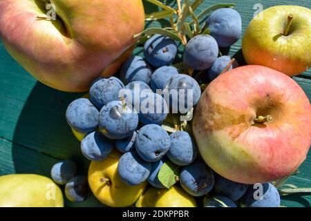 Mele e prugne selvatiche sulla tavola Foto Stock