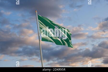 Bandiera della prefettura giapponese di Miyagi sullo sfondo del cielo. Grafica 3D Foto Stock