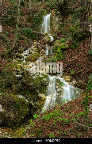 Il torrente Coccavone scorre tra le foglie cadute di acero e faggi. Abruzzo, Italia, Europa Foto Stock