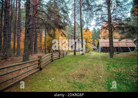 Vecchia casa di legno circondata da foresta mista con conifere e. alberi decidui in autunno Foto Stock