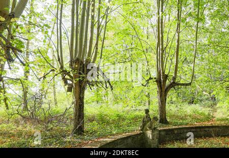 Una figura di pietra seduta sul bordo di una fontana e guardando il giardino in eccesso nel Castello Eggersdorf. Foto Stock