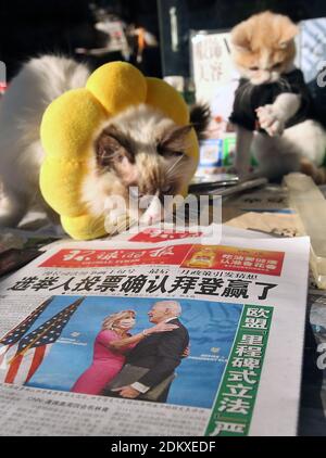 Pechino, Cina. 16 Dic 2020. Un fornitore di notizie con i suoi gatti vende i principali quotidiani cinesi, con storie su Joe Biden che è stato confermato presidente eletto, ad un chiosco di notizie a Pechino mercoledì 16 dicembre 2020. La Cina spera che con l'elezione di Biden le tensioni su una vasta gamma di questioni diminuiranno tra le due maggiori economie del mondo. Foto di Stephen Shaver/UPI Credit: UPI/Alamy Live News Foto Stock