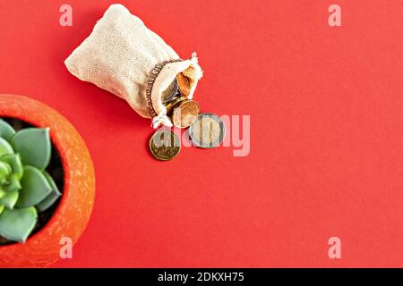Euro coins falling out of burlap on a red background with a succulent flower in a pot Stock Photo