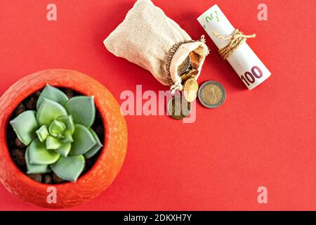 Monete in euro che cadono da baffi e banconote in carta arrotolata su uno sfondo rosso con un fiore succulento in una pentola. Messa a fuoco selettiva Foto Stock