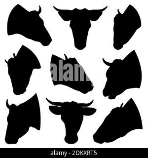 Set di diverse teste di vacca isolate su bianco Foto Stock