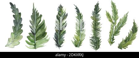 Semplice e carino rami di pino wreath. Disegno acquerello. Foto Stock