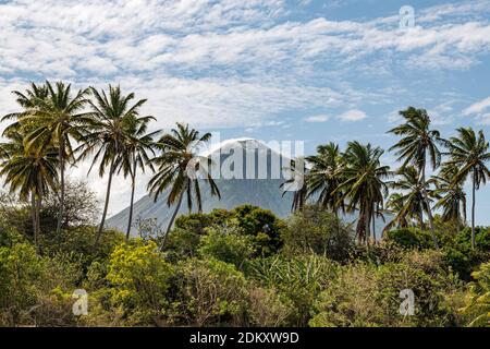 Vulcano Maderas sull'isola di Ometepe, Nicaragua con palme in primo piano Foto Stock