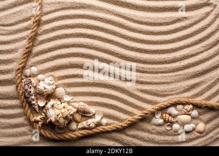 Diverse conchiglie sulla spiaggia di sabbia. Texture delle onde. Telaio in corda marina. Foto Stock