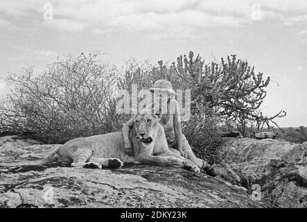 Joy Adamson autore di Born Free con Elsa la leonessa su un affioramento roccioso. Le immagini originali di Joy Adamson Born Free Photo Collection sono state scattate dal 1940 all'inizio degli anni '60 in Kenya. Foto Stock