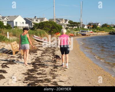 Proprietario e sua mamma con terrier di ratto lungo la costa del New Jersey in estate godendo il calore e il sole. Foto Stock