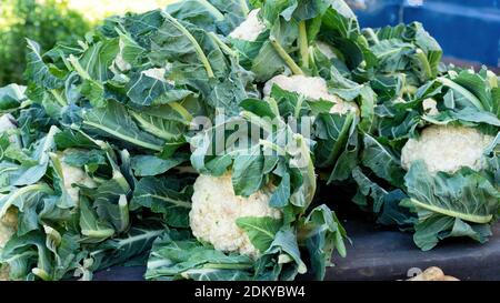 Un gruppo di cavolfiori in vendita in un mercato all'aperto. Fuoco centrale, foto perfetta per una vita sana e una dieta mediterranea. Foto Stock