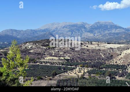 Grecia, Isola di Creta, paesaggio rurale con ulivo plantage e Ida gamma Foto Stock