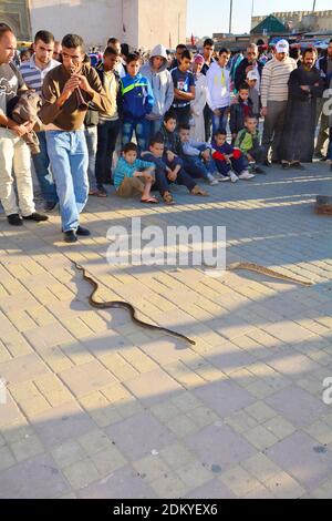 Meknes, Marocco - 19 novembre 2014: Un incantatore di serpenti non identificato eseguito su Place el-Hedim, un tipo tradizionale di artista di strada Foto Stock
