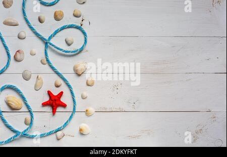 Concetto estivo con conchiglie e stelle marine su tavole di legno blu. Riposatevi sulla spiaggia Foto Stock