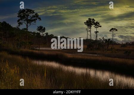 Tramonto sulla palude tropicale di St Marks National Parco in Florida Foto Stock