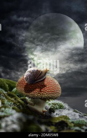 serie, fata casa (fungo), un'illustrazione immaginaria di casa e la situazione sotto forma di un collage di foto Foto Stock