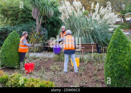 Volontari del gruppo di giardinaggio Newquay in Bloom che lavorano in Giardini di Trenance a Newquay in Cornovaglia Foto Stock