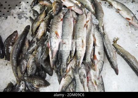 In un supermercato c'è un po' di ghiaccio Foto Stock